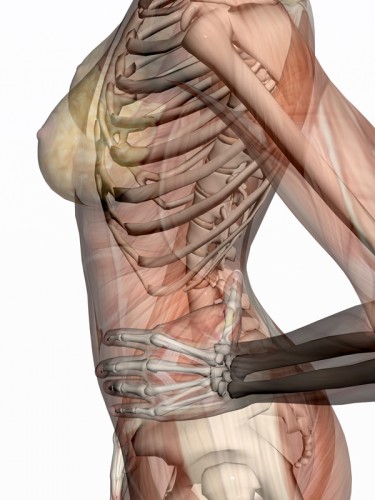 骨関節＆筋･筋膜